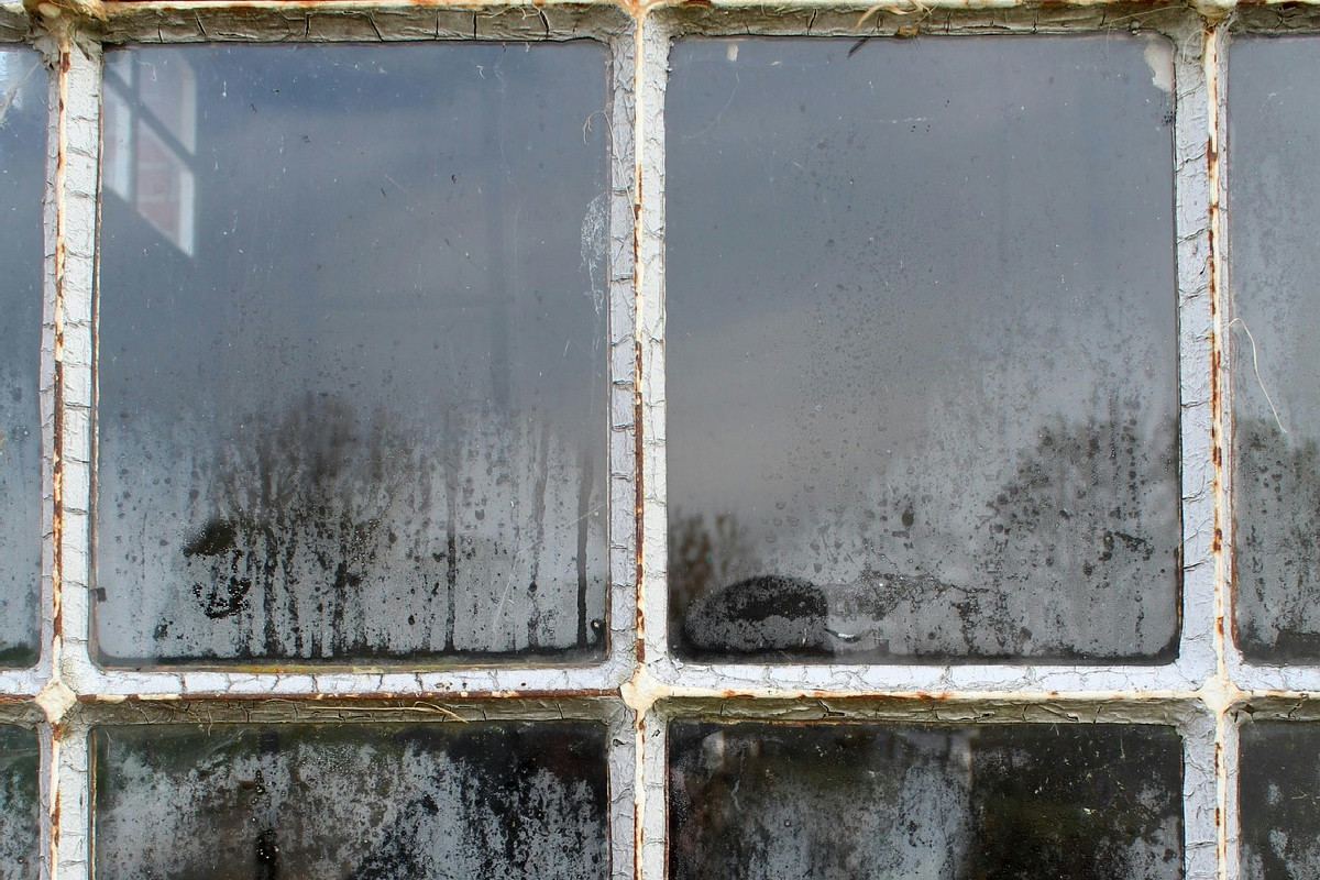 mosse della nonna per far brillare i vetri più sporchi: niente aloni con questi gesti